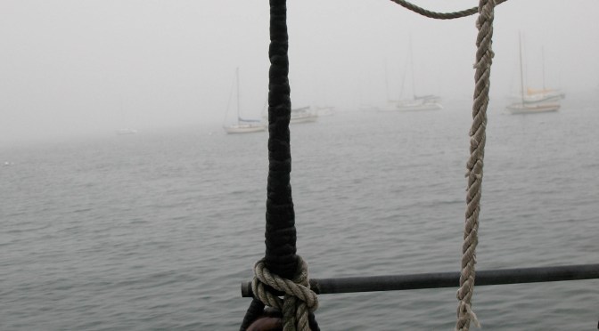 The Fisherman’s Life