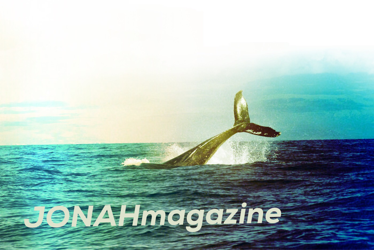 IMG_0408.Png