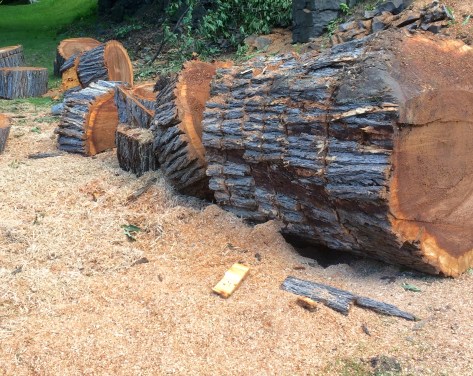 IMG_0811 - Version 2