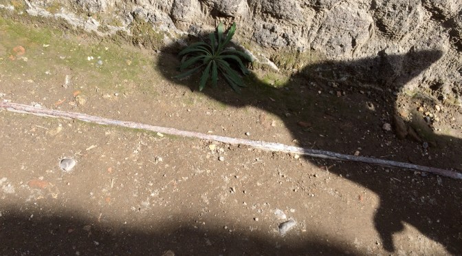 Anniversary of My Death