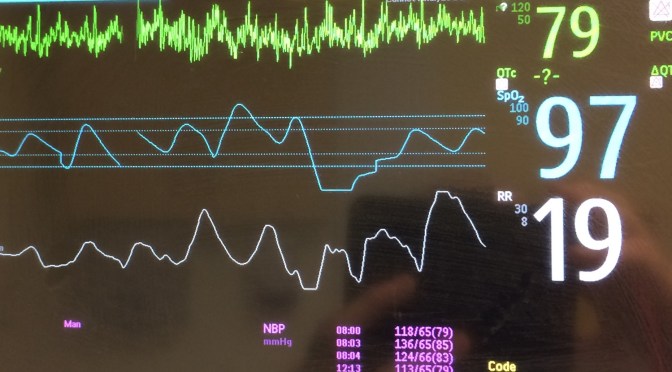 Iris observes a sparrow at the apex and remembers