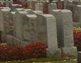 IMG_4168 - Version 4.jpeg