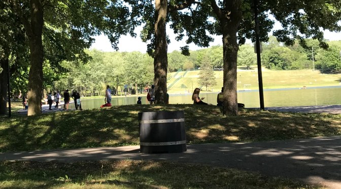 Climbing Mount Royal, 2020