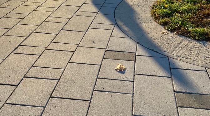 A Person of No Interest