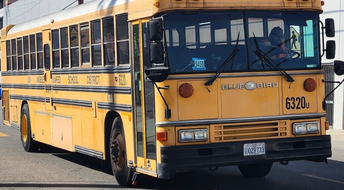 Blanco Billy of San Luis